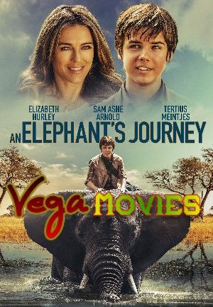An Elephants Journey 2017 Hindi ORG Dubbed Dual Audio 5.1 x264 ESubs