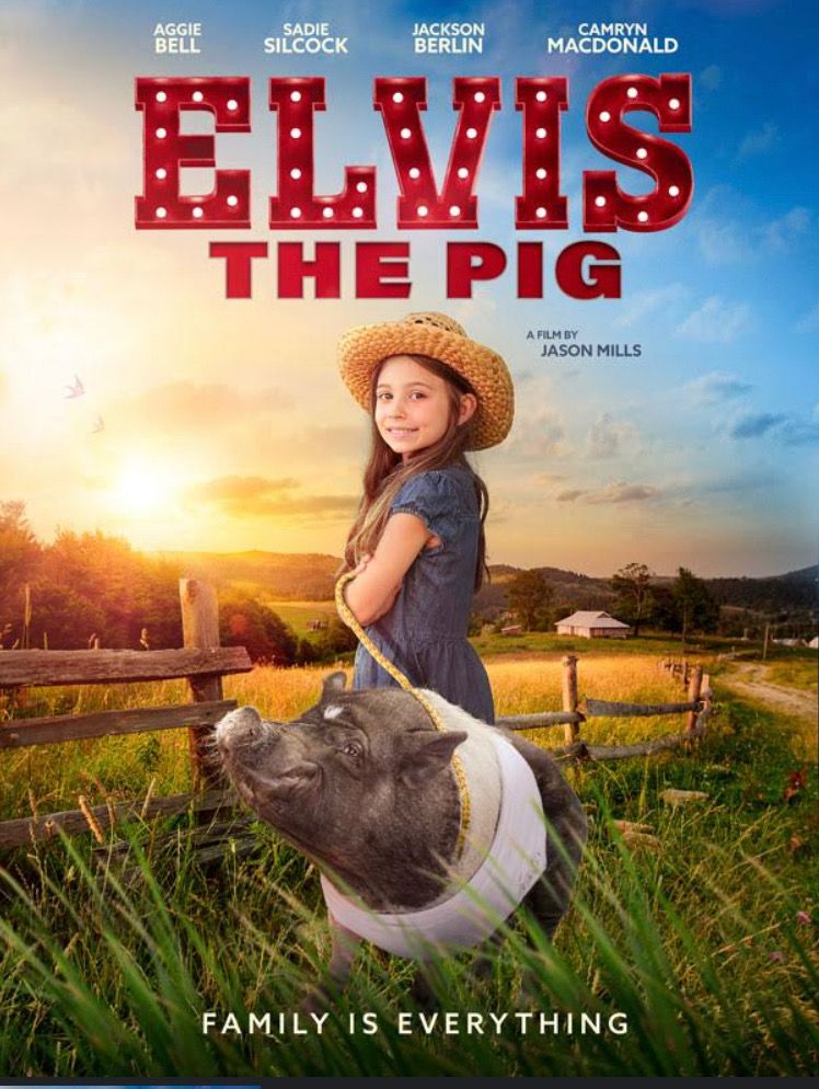 Elvis the Pig 2022 Hindi Unofficial Dubbed 1xBet