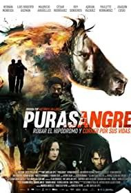 Purasangre 2016 Hindi