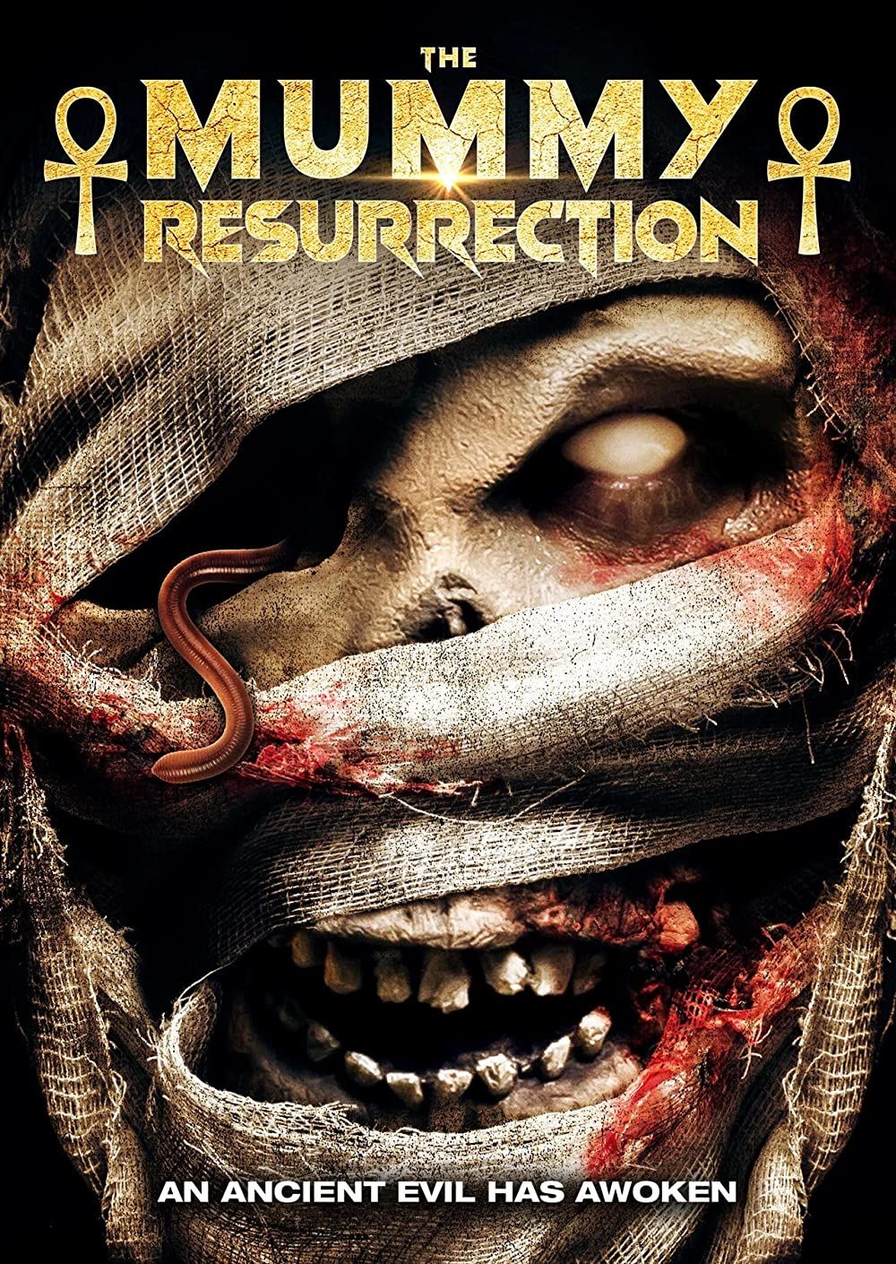 The Mummy: Resurrection 2022 Bengali Unofficial Dubbed 1xBet