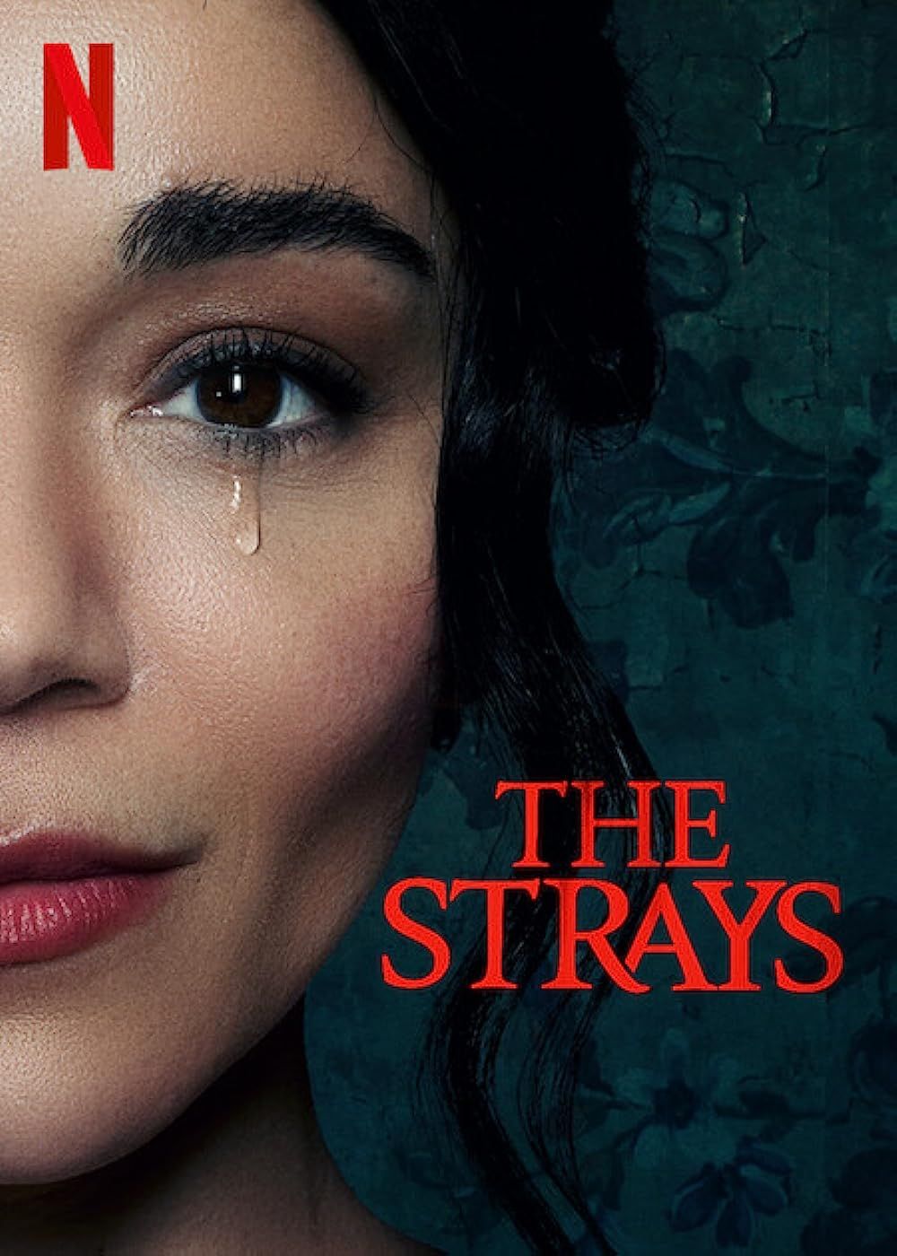 The Strays 2023 Hindi Unofficial Dubbed 1xBet